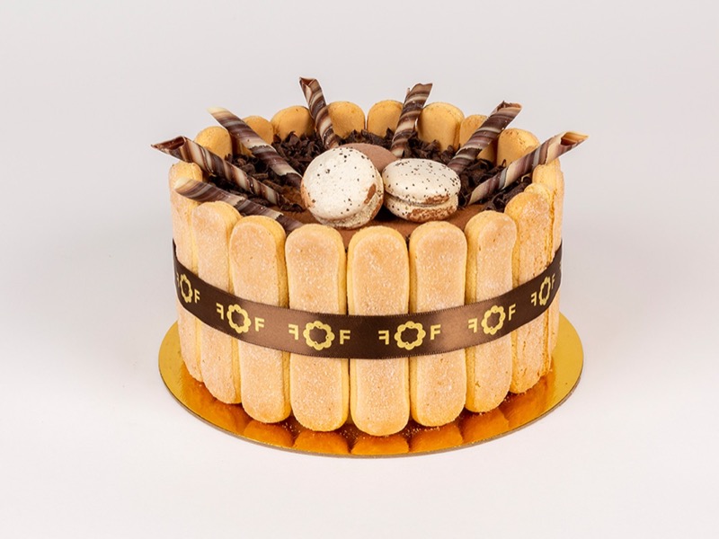 Tiramisu cake ringed with ladyfingers and topped with chocolate and macarons